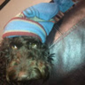 Meet your Posher, Ruby